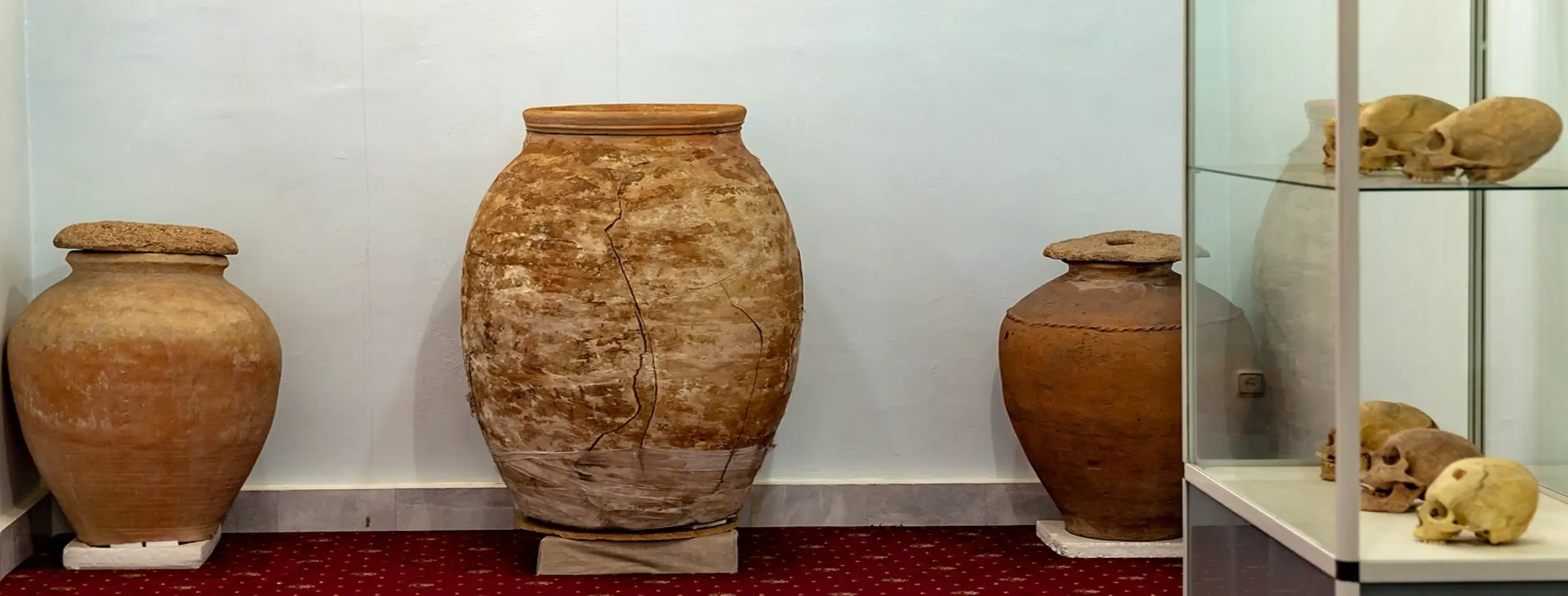 Image for Tajik National Museum of Antiquities